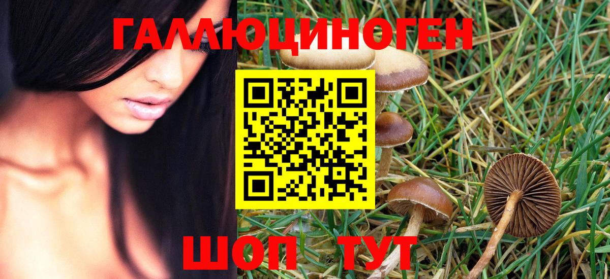 Псилоцибиновые грибы Magic Shrooms  Галлюциногенные грибы Psilocybe  магазин    Киселёвск  Вход с VPN 