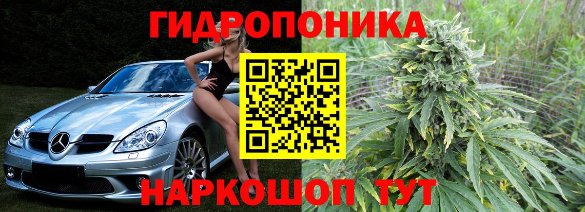 Канабис Bruce Banner  Вход с VPN  Киселёвск  Бошки Шишки план 